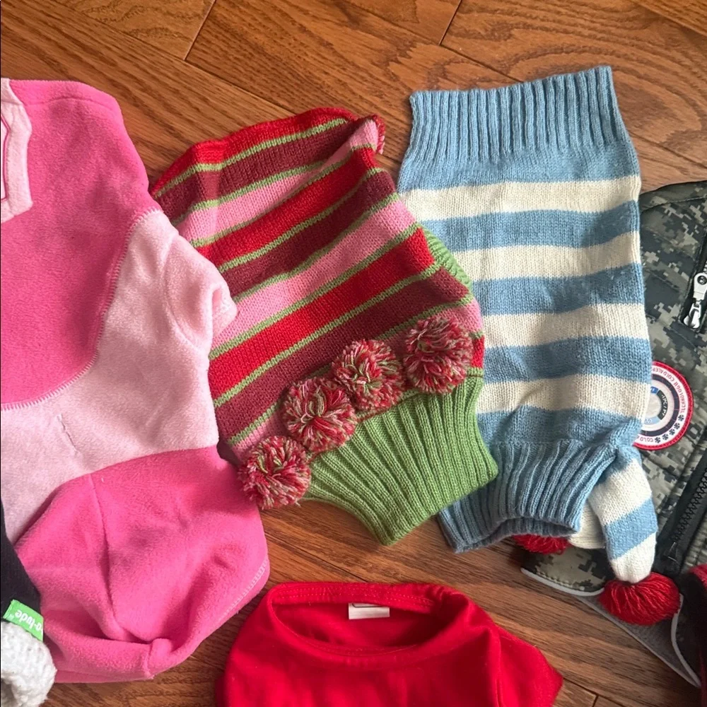 Assorted 9 Dog Sweaters and Accessories for small dog.
